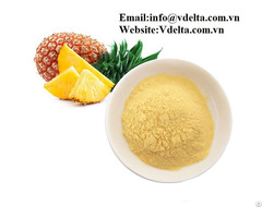 Viet Nam High Quality Pineapple Powder Best Price