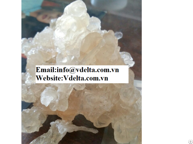 Viet Nam High Qualtiy Sterculia Foetida Best Price