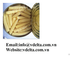Canned Baby Corn Best Price