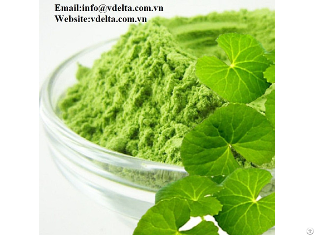 Pennywort Powder Viet Nam