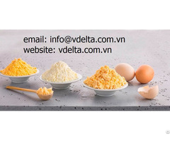 New High Quality Vietnamese Egg Yolk Powder 2020