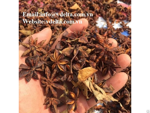 High Qualtiy Star Anise Broken Bets Price