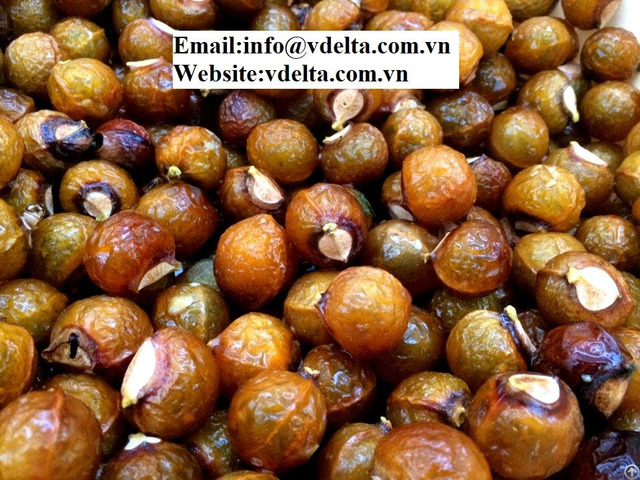 Premium Quality Soap Nut In Viet Nam