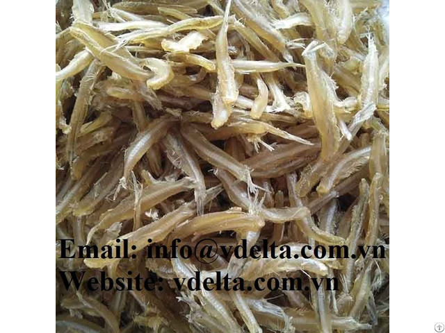 Grade High Quality Dry Anchovy Fish