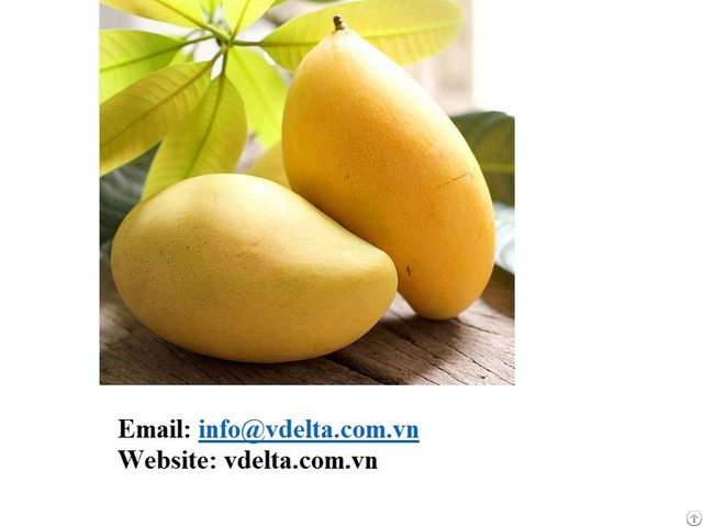 Mango From Viet Nam