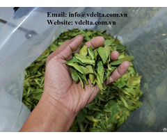 Cheap Price Dried Lemon Leaf With Good Supplier In Viet Nam