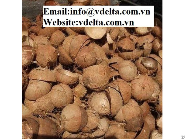 Vietnamese Coconut Shell Very Cheap Price