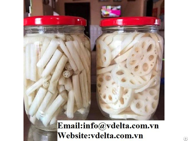 High Quality Canned Lotus Root Best Price