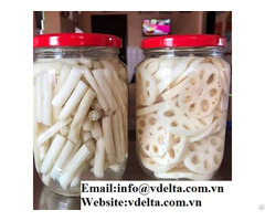 High Quality Canned Lotus Root Best Price