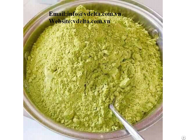 Avocado Powder Made In Viet Nam