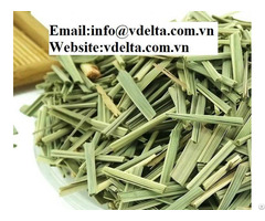 Best Price For Dried Lemongrass Leaf Viet Nam