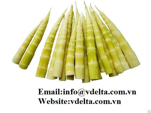 High Qualtiy Canned Pickled Bamboo Shoot From Viet Nam