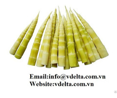 High Qualtiy Canned Pickled Bamboo Shoot From Viet Nam