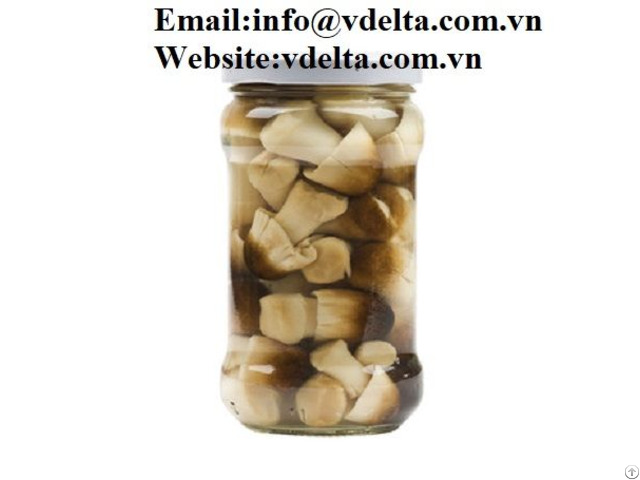 Canned Salted Straw Mushroom From Viet Nam