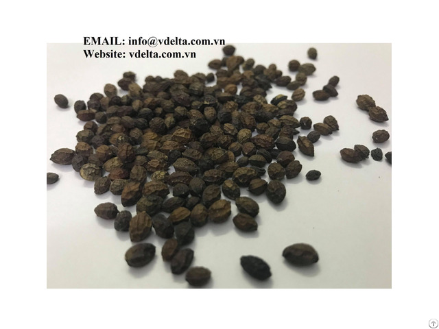 Viet Delta Papaya Seeds Best Price