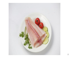 Low Price Super Organic Frozen Pangasius Catfish Skin With Pure Collagen In Vietnam