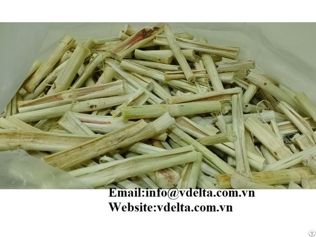 Dried Sugar Cane In Viet Nam Bets Price