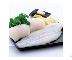 Cheap Price Well Trimmed Basa Pangasius Fillet Catfish
