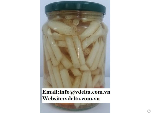 High Quality Canned Pickled Lotus Root