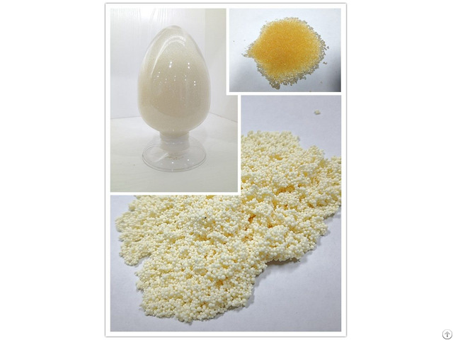 Camptothecin Adsorbent Resins