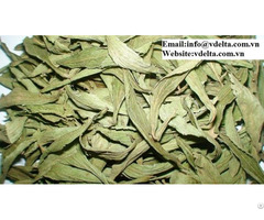 Viet Nam High Quality Dried Organic Stevia Dry Leaves