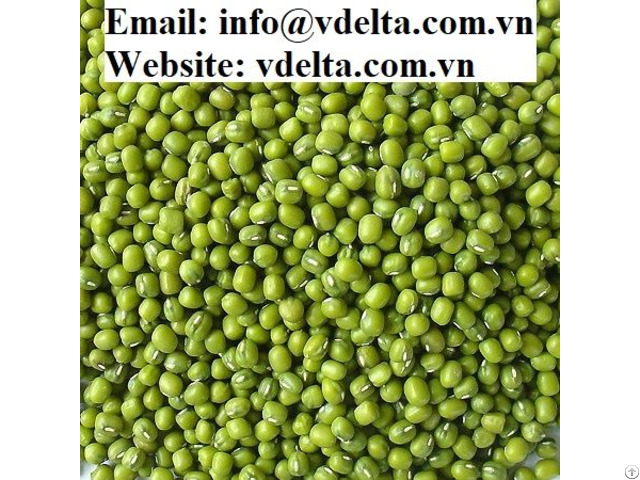 Vietnam Green Mung Beans Best Price