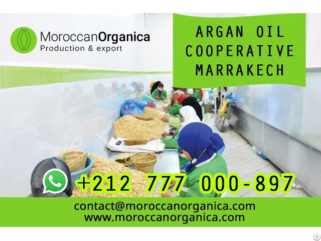 Argan Oil Wholesale Morocco In Bulk