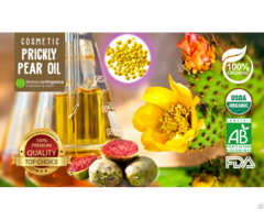Organic Prickly Pear Seed Oil Wholesale