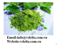 High Quality Fish Mint Leaf Powder With Best Price