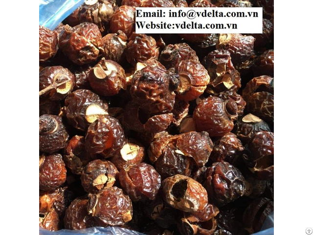 Sapindus Mukorossi Nut Organic Soap Certified