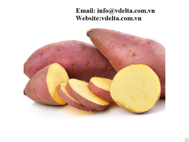 Frozen Sweet Potato With Best Price