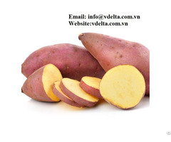 Frozen Sweet Potato With Best Price