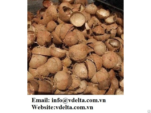 Viet Nam Coconut Shell With Best Price