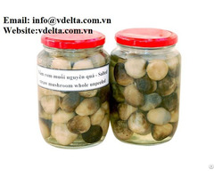 High Qualiy Salted Straw Mushroom From Vietnam