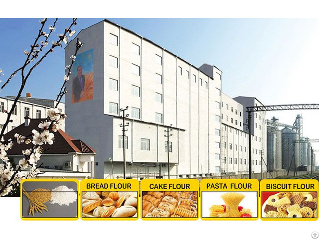 Multi Story Flour Milling Plant