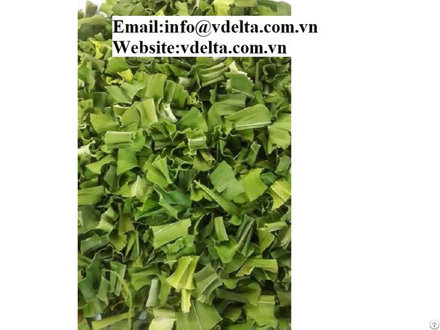 100% Natural High Quality Dried Pandan Leaf Powder