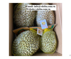High Quality Frozen Durian From Vietnam
