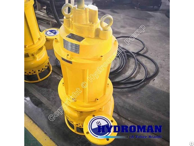 Hydroman™ Tsq Submersible Sand Pumps