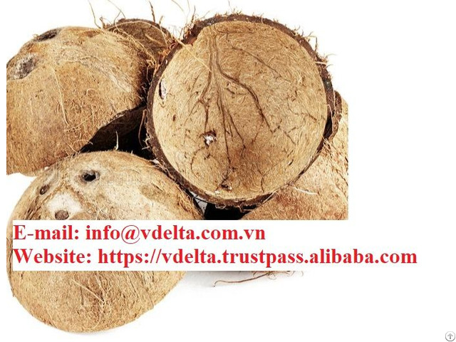 High Quality Coconut Shell Raw From Viet Nam