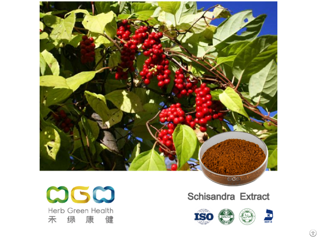 Schisandra Extract