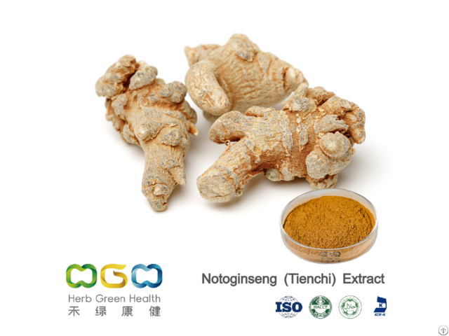 Notoginseng Tienchi Extract