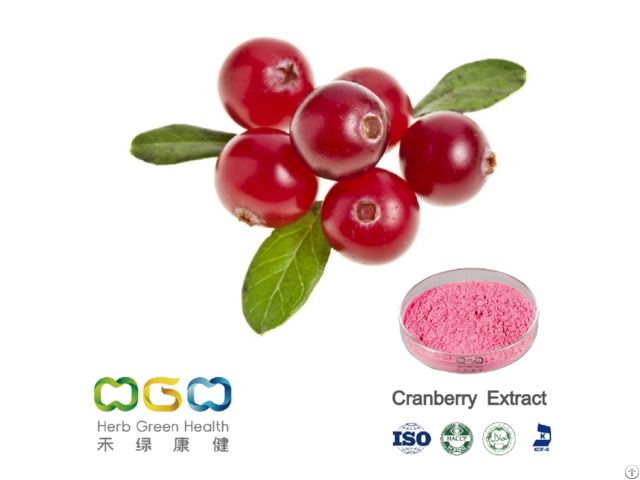 Cranberry Extract Powder