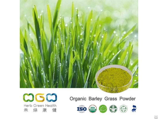 Organic Barley Grass Powder