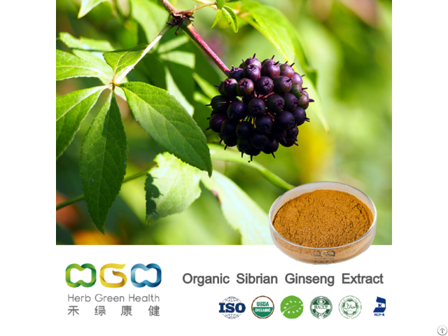 Organic Sibrian Ginseng Extract