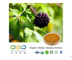 Organic Sibrian Ginseng Extract