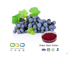 Grape Seed Powder