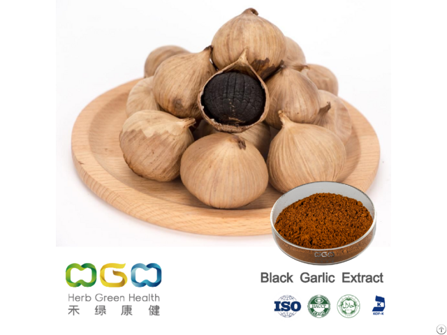 Black Garlic Powder