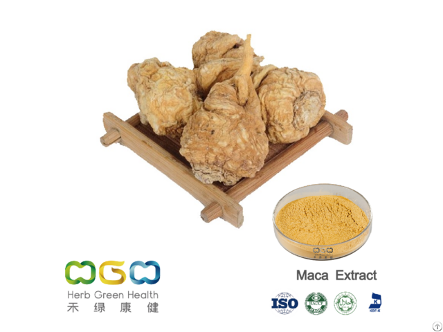 Maca Powder