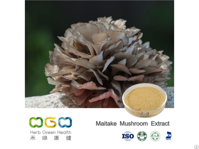 Maitake Mushroom Powder