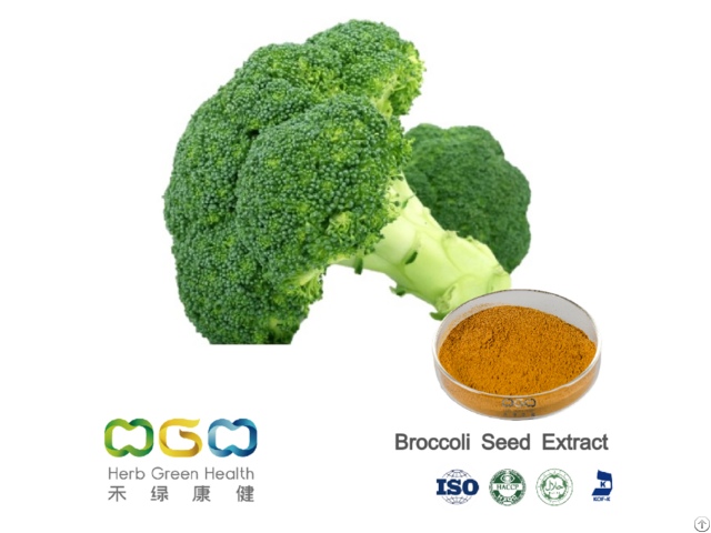 Broccoli Seed Extract